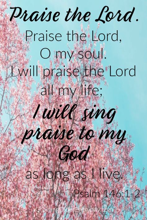 Praise the Lord, Praise the Lord, O my soul. I will praise the Lord all my life; I will sing praise to my God as long as I live. Ps. 146:1-2 Psalm 140, When To Retire, Praise God Quotes, Lord Quote, Give Thanks In All Circumstances, A Thought For The Day, Oh My Soul, Pray Continually, Always Pray