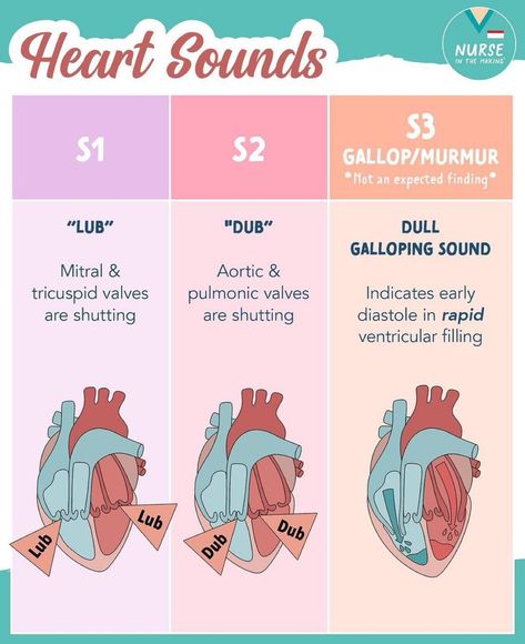 Nurse Abbreviations, Nursing Abbreviations, Cardiology Notes, Cardiac Assessment, Complete Nursing School Bundle, Nursing School Bundle, Memory Tricks, Nursing School Inspiration, Medical Mnemonics