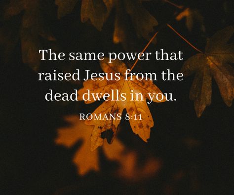 As you begin this new day, remember that the same power that raised Jesus from the dead is living in you. When we commit to Jesus, we no longer have to face the world in our own strength. So, no matter what you are going through today, know that you have victory through Jesus. The Same Power That Raised Christ, Slider Exercises, Daily Encouragement, Romans 8, Bible Words, No Matter What, The Dead, New Day, Verses