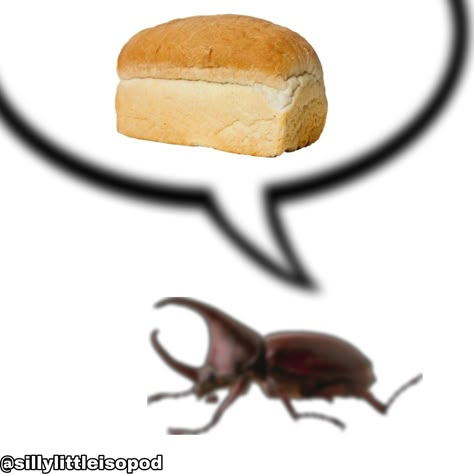 Bug Memes, Bugs With Names, Hi Welcome To Chili's, Cool Bugs, Stag Beetle, The Bug, Creepy Crawlies, Arthropods, A Bug