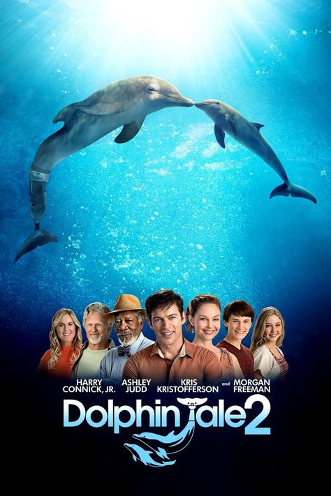 Dolphin Facts For Kids, Dolphin Tale 2, Dolphin Facts, Dolphin Tale, Clearwater Marine Aquarium, Ashley Judd, Movies 2014, Tv Series To Watch, Tv Series Online