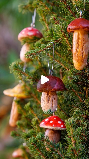 Franziska Shelton // Arts & Crafts on Instagram: "I am kicking off the holiday season with some easy DIY mushroom ornaments you can make for your 🌲 ! The ornaments are made from salt dough and are so cute and realistic looking! 🍄  Salt dough recipe: 1. Combine 1 cup of all purpose flour with 1/2 cup of sea salt and 1/2 cup of warm (?) water. 2. Preheat your oven to 250 degrees Fahrenheit. Mushroom Ornaments: 1. Use the salt dough to shape mushroom stalks and mushroom caps. 2. Bake your mushroom pieces at 200 degrees Fahrenheit for 2-3 hours. Once hardened, let them cool for 30 minutes. 3. Use hot glue to fit your mushroom stalks inside your caps. 4. Paint your mushrooms using Acrylic paints or watercolors. Let the paint dry for a minimum of 30 minutes. 5. Optional: add a layer of glossy Salt Dough Mushrooms Diy, Salt Dough Mushrooms, Mushroom Ornaments Diy, Diy Mushroom Ornaments, Craft Mushrooms, Diy Mushroom, Mushroom Ornaments, Salt Dough Recipe, Mushroom Caps