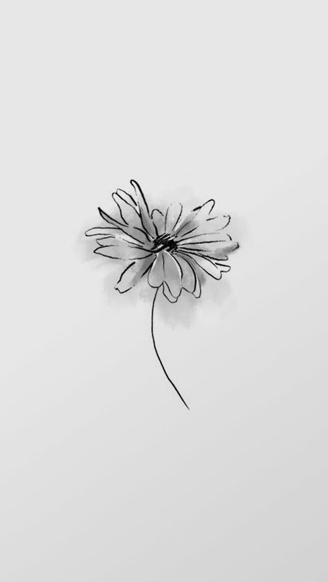 Daisy Pentagon, Black And White Phone Theme, Daisy Drawing, Daisy Tattoo, Daisy Wallpaper, 4 Wallpaper, Flower Wallpapers, Drawing Wallpaper, Black And White Flowers