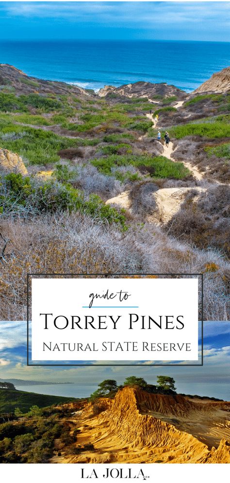 Torrey Pines Hike, Torrey Pines State Reserve, San Diego Hiking, Luxury Family Travel, San Diego Vacation, San Diego Travel, Torrey Pines, Family Travel Destinations, North Beach