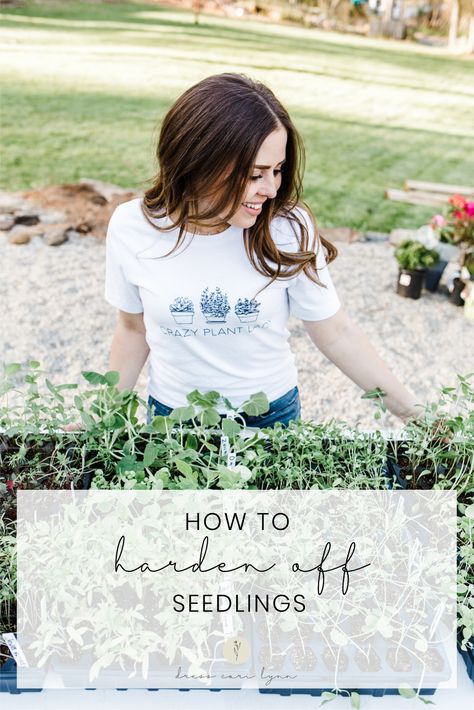 how to harden off seedlings. - dress cori lynn Hardening Off Seedlings, Outdoor Environment, Seed Starting, Cloudy Day, Plant Lady, Green Thumb, Seeds, Plants, Green