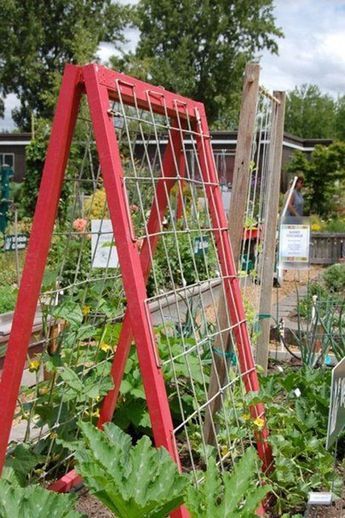 Diy Garden Trellis Ideas, Garden Trellis Panels, Garden Trellis Designs, Garden Trellis Ideas, Pea Trellis, Tomato Trellis, Cucumber Trellis, Plant Structure, Diy Garden Trellis