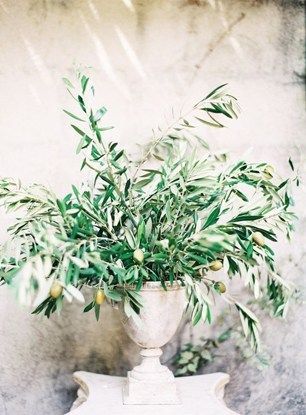 Wedding mood board | Rustic romance | These Four Walls blog Branch Centerpieces Wedding, Olive Branch Wedding, Vintage Wedding Centerpieces, Branch Centerpieces, Olive Wedding, Tuscan Inspired, Rustic Romance, Tuscan Wedding, Olive Leaf