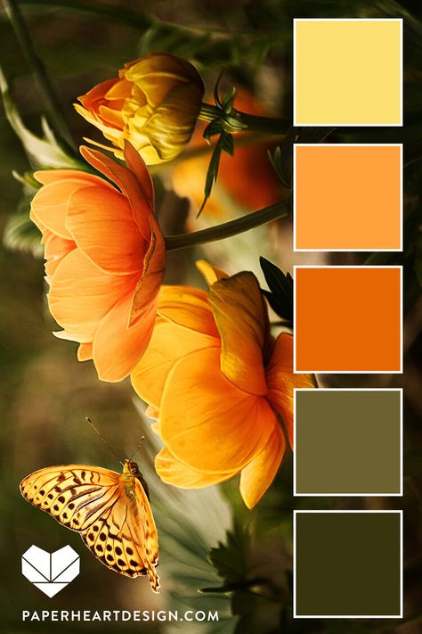 ORANGE YOU GLAD Yellow, orange, and green are a match made in heaven. HEX CODES: #38340e #6d6131 #e56703 #ffa13d #fbdf71 Baked Camembert, Orange Color Palettes, Palette Design, Color Pallete, Color Schemes Colour Palettes, Color Palate, Color Palette Design, Paper Heart, Color Balance