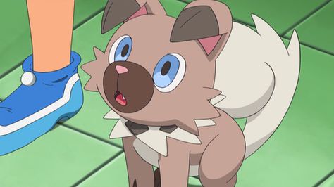 Pokemon Dog, Rockruff Pokemon, Dog Pokemon, Pokemon Video, Names Dog, Best Pokemon, Best Dog Names, Powerful Pokemon, Pokemon Video Games