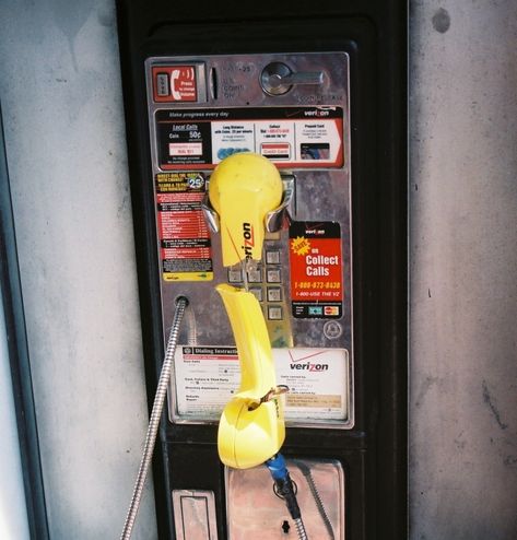 photo by eviltrailmix/ neil cicierega Neil Cicierega Aesthetic, Touch Tone Telephone, Neil Cicierega, Brown Hair Men, Lemon Demon, Coastal City, Yellow Aesthetic, Brown Hair, Lemon