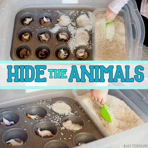 Hide the Animals: Quick Sensory Bin - Busy Toddler Easy Indoor Activities, Toddler Sensory Bins, Easy Toddler Activities, Eyfs Activities, Sensory Activities Toddlers, Farm Activities, Toddler Sensory, Tuff Tray, Sensory Table