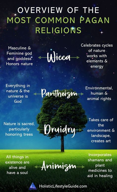 When people move away from an organized religion, they often turn to nature because it’s the one thing they can experience directly. It doesn’t require going to church, since anywhere in nature can be our church. Humans are made of the same elements nature is made of, and recognizing this often helps people feel a connection to nature that most religions often fail to provide. Most nature-based religions are covered under the Pagan umbrella, including Wicca, Druidry, Animism, and Pantheism. Pagan Lifestyle, Pagan Magick, Pagan Beliefs, Going To Church, Nature Witch, Pagan Spirituality, Pagan Gods, Magick Book, Wicca Witchcraft