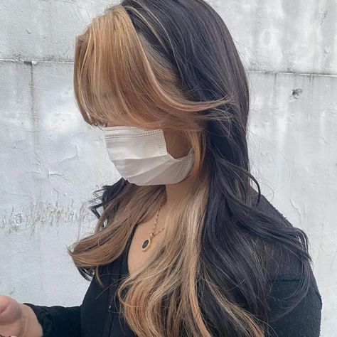 40 two-tone hair color ideas that you will absolutely want for a new look 11 Hair Inspo Color Two Tone, Brown Hair Two Tone, Secret Two Tone Hair Color, Duo Tone Hair, Secret Two Tone Hair, Two Tone Hair, Duo Tone, Cute Hair Colors, Cute Hair