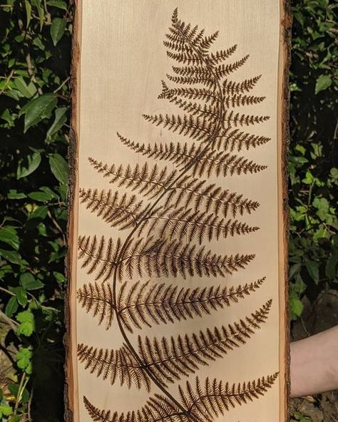 Fern Wood Burning, Pyrography Art Ideas, Nature Wood Burning, Woodburning Design, Fern Stencil, Fern Decor, Woodburning Art, Pyrography Ideas, Office Decore