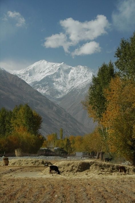 Pamir Mountains, Fall Photography Nature, Photography Inspiration Nature, Mountain Travel, Winter Pictures, Central Asia, Africa Travel, Amazing Destinations, Asia Travel