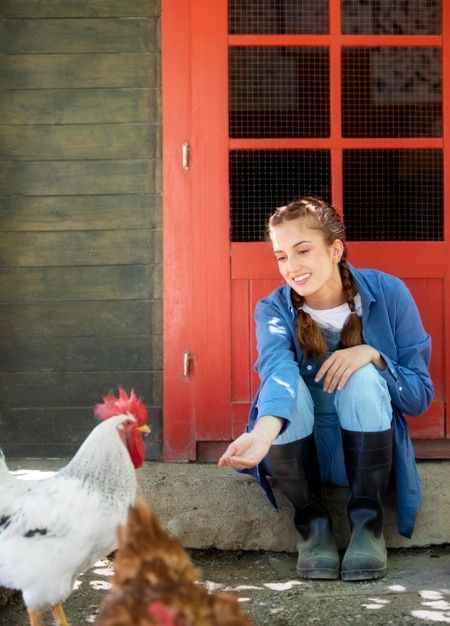 Chicken Photoshoot, Chicken Photography, Fried Chicken Drumsticks, Chicken Bucket, Fried Chicken Burger, Female Farmer, Baby Chickens, Chicken Feed, Chicken Stuffed Peppers