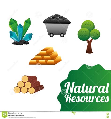 *Grade: 3rd *Standard: SS3E1 Define and give examples of the four types of productive resources. a. Natural (land) b. Human (labor) c. Capital (capital goods) d. Entrepreneurship (risk-taking and combining natural, human, and capital resources in an attempt to make a profit) *Description: Students have the option of 3 different types of games that review over the 4 different types of productive resources. Capital Resources, Types Of Games, State Testing, Social Studies Resources, Typing Games, Online Game, Take Risks, Natural Resources, Online Games