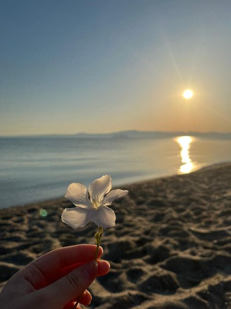 summer flowers flower aesthethic beach ocean the sea vibe sand cottagecore fashion instagram highlights greece home hf style love energy pinterest positive vibes aesthethic feed instagram bio creative higlight covers aesthethic instagram bios idea aesthethic instagram layout instagram poses instagram ideas inspo for instagram snapchat twitter instagram photo ideas food foodporn tips tricks photography social media growth beauty trend trends trendy instagram captions outdoors youtube tiktok Flowers At Beach, Flowers On Beach, Feed Inspo Instagram, Summer Layout, Peaceful Aesthetic, 20th Bday, Colorful Vibes, Bday Wishlist, Beach Flowers