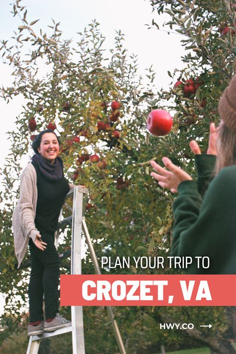 If you've never visited Crozet, VA, you're missing out! Here's how the locals — and lots of charmed visitors — spend their downtime in Crozet. Plan Your Trip to Crozet, VA Crozet Virginia, Virginia Wineries, Cross Country Trip, Virginia Travel, Small Town Life, Us Road Trip, Brew Pub, Mountain Road, Road Trip Planning