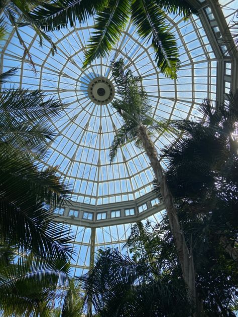 Massive Greenhouse, Huge Greenhouse, Giant Greenhouse, Round Greenhouse, Imagine Heaven, Greenhouse Dome, Victorian Greenhouses, Large Greenhouse, Horseshoe Bay