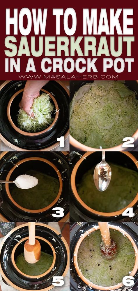 How to make Sauerkraut in a crock pot - Old fashioned recipe, easy DIY cabbage fermentation guide. For homesteading and German Austrian food fans. Healthy vegan recipe with 3 ingredients. www.MasalaHerb.com Homemade Sourkraut, Fermenting Crock Recipes, Sauerkraut In A Crock, Sauerkraut Crock, Austrian Food, Make Sauerkraut, Crock Meals, Making Sauerkraut, Fermented Sauerkraut