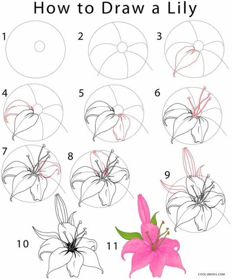 Flower Drawing Tutorials - Draw a Lily - Simple Tutorial for Easy Flower Doodles, Vintage Design Ideas for Flowers, Step by Step Pencil Drawings - How to Draw a Rose, Lily, Hibiscus, Daisy Hur Man Ritar Blommor, Trin For Trin Tegning, Draw A Flower, How To Draw Flowers, Flower Step By Step, Flower Mural, Draw Flowers, Flower Drawing Tutorials, Flower Drawing Design