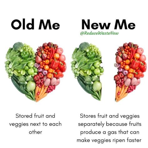 "Old Me vs. New Me" Meme Offers Valuable Green Living Tips Old Me New Me, Reduce Food Waste, Food Facts, Green Life, Reduce Waste, New Me, Food Waste, Fruits And Veggies, Nutrition Facts