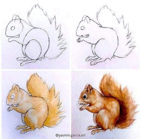 Watercolor Animals Easy Step By Step, Watercolour Animals Easy, Animal Drawings Sketches Step By Step, Cute Squirrel Drawing, Watercolour Squirrel, Watercolor Animals Easy, Squirrel Drawings, Squirrel Sketch, Drawing Squirrel