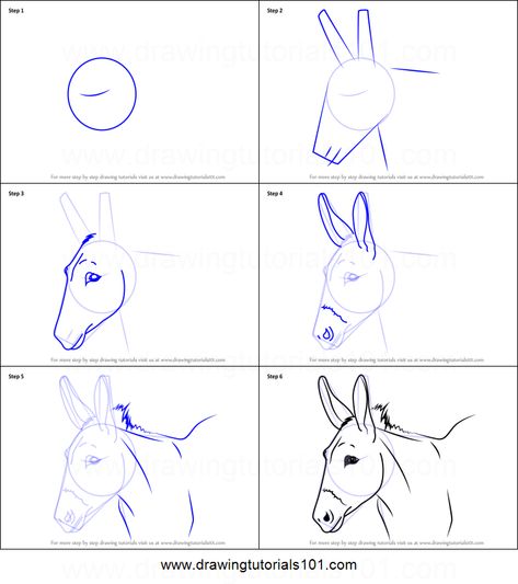 How to Draw a Donkey Face printable step by step drawing sheet : DrawingTutorials101.com How To Draw A Donkey Face, Donkey Sketch Easy, Donkey Face Drawing, How To Draw Donkey, How To Paint A Donkey, How To Draw A Donkey Step By Step, Donkey Painting Easy, Donkey Drawing Sketches, Donkey Paintings On Canvas