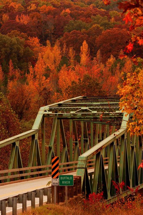 http://Two National Parks in the Ozarks Arkansas Waterfalls, Arkansas Vacations, Ozark National Forest, Gum Trees, Arkansas Travel, Sweet Gum, River Bridge, Fall Beauty, Beautiful Town