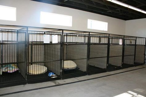 30+ Best Indoor Dog Kennel Ideas | Page 2 of 9 | The Paws Commercial Dog Kennel Ideas, Indoor Dog Kennel Ideas, Dog Kennel Inside, Dog Breeders Kennels, Dog Daycare Design, Dog Kennel Ideas, Dog Breeding Kennels, Dog Boarding Ideas, Luxury Dog Kennels