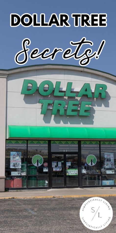 Dollar Tree Secrets Everyone Should Know Things To Get From Dollar Tree, Things To Buy At Dollar Tree, Dollar Tree Finds 2024, Dollar Tree Party Hacks, Dollar Tree Cleaning Supplies, Best Dollar Tree Finds, Dollar Tree Must Haves, Walmart Hack, Walmart Diy