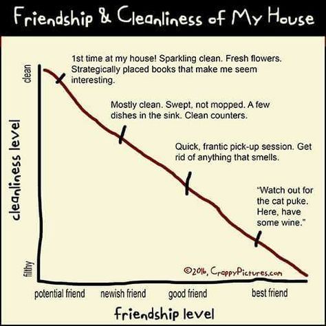 Closeness of Friendship and cleanliness of the house - a visual representation. Friendship graph. Levels Of Friendship, Just So You Know, Friend Friendship, Geek Humor, Sparkling Clean, I Can Relate, New Friends, Clean House, Funny Stuff