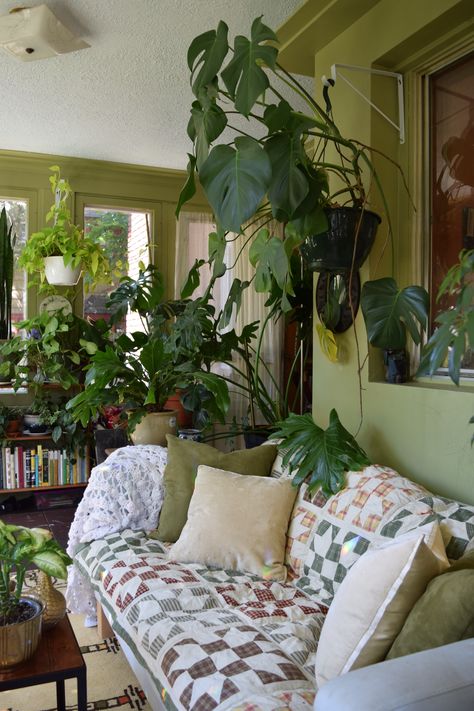 Natasha and the Plant-Filled Sunroom — House Tour Sunroom House, Wall Behind Sofa, Small Sunroom, Rent To Own Homes, Plant Room, Living Room Plants, Deco Studio, Interior Plants, Sunrooms