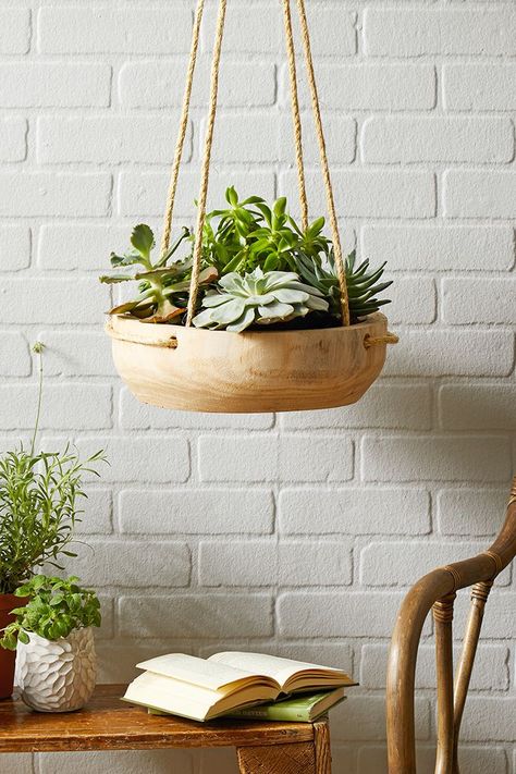 Indoor hanging plant holders are an easy way to add greenery to your home without crowding floor space or tabletops. Check out 23 of our favorite DIY hanging plant holders that effortlessly incorporate greenery into your home decor. #plants #houseplantsdecor #hangingplanters #plantdecor #bhg Diy Planters Indoor, Plant Display Ideas, Hanging Plants Diy, Diy Hanging Planter, Hanging Planters Indoor, Plant Pot Holders, Hanging Plant Holder, Hanging Plants Indoor, Hanging Succulents