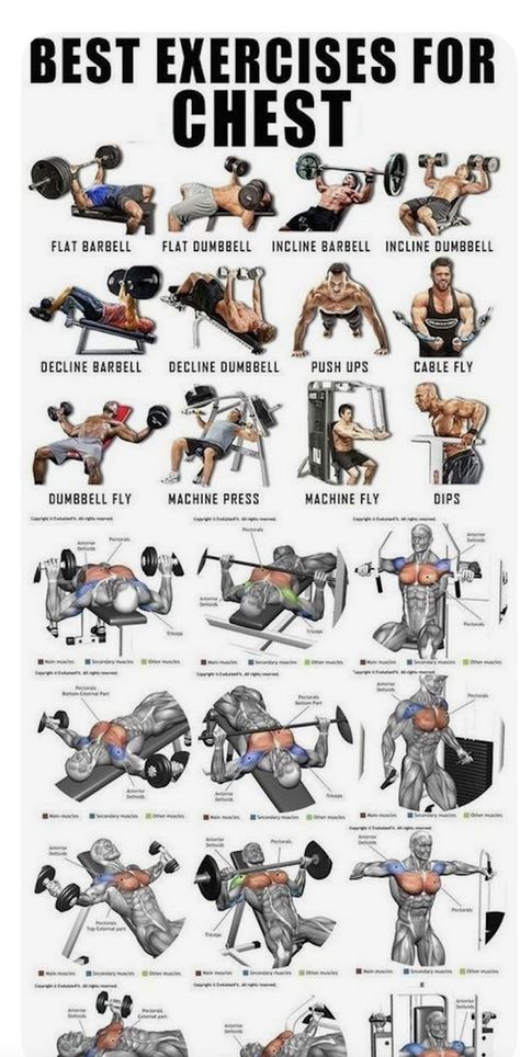 Dumbbell Fly, Weight Training Workouts, Chest Workouts, Weight Training, Male Body, Fitness Training, Bodybuilding, Comic Book Cover, Gym