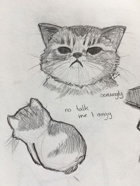 Cats Art Drawing, Cat Sketch, Cute Sketches, 캐릭터 드로잉, Easy Drawings Sketches, Cute Doodles Drawings, Cute Doodle Art, Arte Sketchbook, Doodle Art Designs