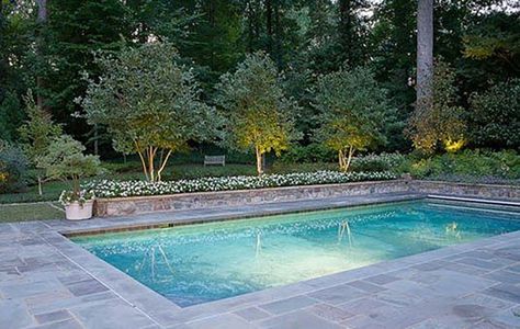 Flower Backyard, Truck Garden, Rectangle Pool, Pool Remodel, Alpine Plants, Backyard Pool Landscaping, Garden Types, Small Pools, Dream Pools