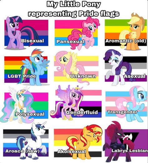 Lgbtq Flags As Humans, Lgbtq Cute Art, Mlp Pride Flags, Pride Astethic, Pride Pfp Aesthetic, Lgbtq Flags And Meanings, Pride Flags As People, Cute Lgbtq Art, Pride Art Ideas