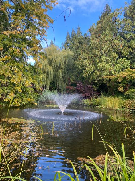 Reed Pond || The University Of Exeter University Of Exeter Aesthetic, Exeter University Aesthetic, Exeter Aesthetic, Exeter University, Uni Motivation, Exeter England, University Of Exeter, Uni Aesthetic, Uni Dorm