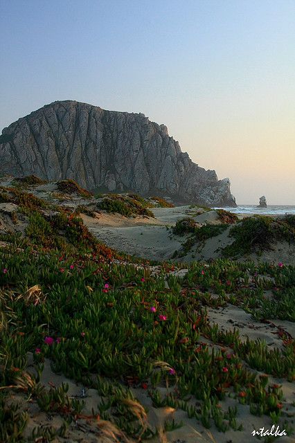 Morro Rock, Morro Bay, California Morro Rock California, Morrow Bay California, Morro Bay California, San Luis Obispo California, Pismo Beach, California Usa, California Love, California Coast, California Dreamin'