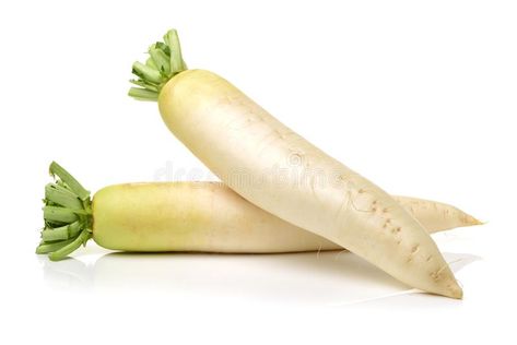 Daikon White Radish. Isolated on white background #Sponsored , #ad, #AD, #White, #background, #white, #Daikon Math Puzzles Brain Teasers, White Radish, White Backround, Math Puzzles, Nature Drawing, Background White, Brain Teasers, Cucumber, Mood Board