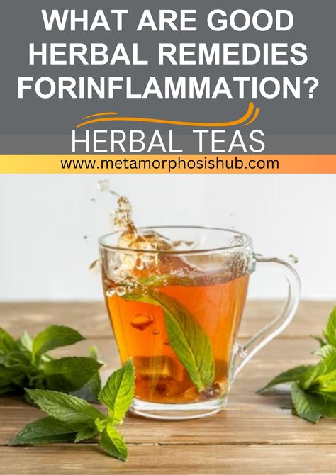 The use of herbal remedies for inflammation is becoming more and more popular. Inflammation is a natural immune response to injury or infection, but chronic inflammation can lead to various health issues such as pain, swelling, and stiffness. #health #fitness #aging #SeniorsCorner #tee #herbaltee Herbal Remedy For Inflammation, Chronic Inflammation Remedies, Herbs For Inflammation, Swelling Remedies, Green Tea Benefits Health, Tea For Inflammation, Remedies For Inflammation, Inflammation Remedies, Diy Natural Remedies