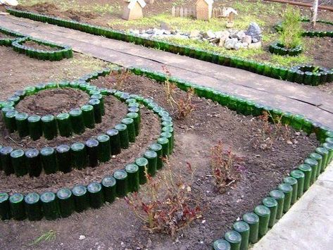 Desert Landscape Front Yard, Wine Bottle Garden, Upcycle Garden, Garden Basket, Front Yard Design, Recycled Garden, Bottle Garden, Garden Edging, Unique Gardens