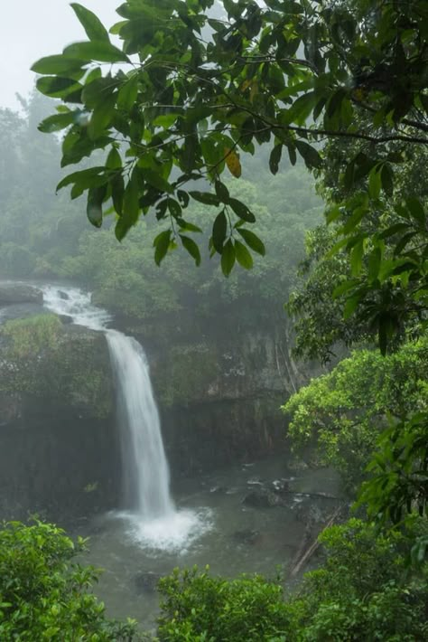 Backpack Australia, Tropical Queensland, Different Types Of Aesthetics, Frühling Wallpaper, Atherton Tablelands, Cairns Queensland, Heart In Nature, Dreamy Aesthetic, Nomad Life