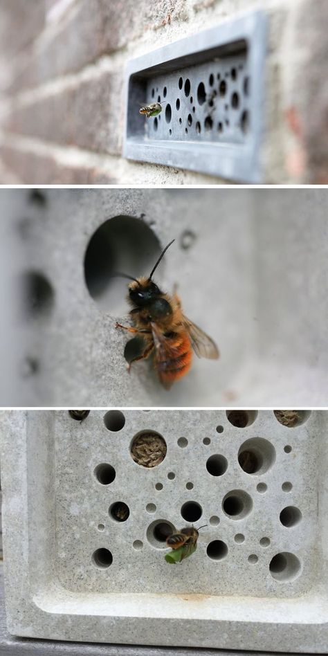 Bee Architecture, Contemporary Bird Feeders, Guerrilla Gardening, Wild Bees, Bee Hotel, Solitary Bees, Bug Hotel, Insect Hotel, Drought Tolerant Landscape