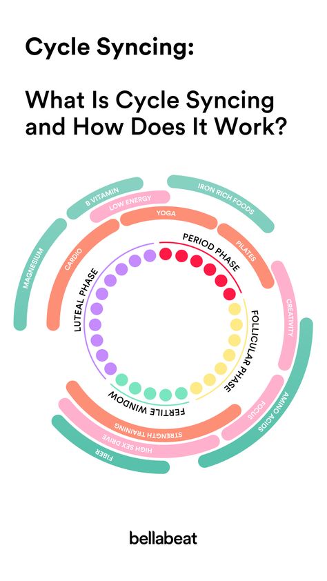 Learn about the concept of cycle syncing, explore its benefits, provide practical tips to incorporate it into your life, and get guidance to enhance the connection between your mind, body, and cycle to begin cycle syncing. Learn more about the potential advantages of cycle syncing and discover how it can contribute to women’s health and overall well-being. Menstrual Cycle Phases, Diy Natural Detergent, Seed Cycling, Cardio Pilates, Cycle Syncing, Energy Yoga, Blood Sugar Diet, Menstrual Health, Receding Gums