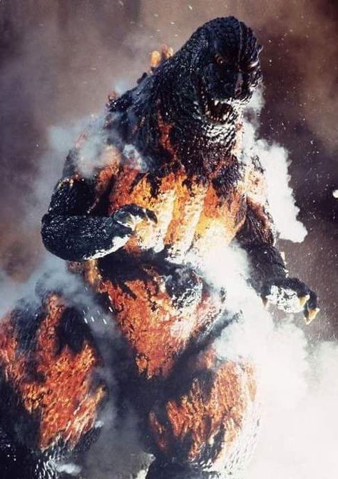 'Godzilla vs. Destroyah' (1995) Burning Godzilla 1995, Godzilla Vs Destroyah, Godzilla 1995, Burning Godzilla, Bad Film, Godzilla Vs, The Best Films, Scene Photo, Godzilla