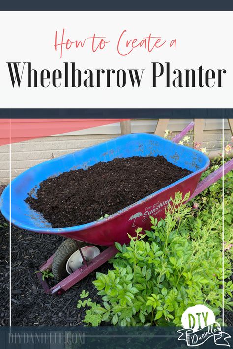 How to make a planter from an old wheelbarrow. Plant flowers that spill over or you can plant fruit or veggies!   #garden #gardening #diy #upcycling Flowers In Old Wheelbarrow, Planting Flowers In An Old Wheelbarrow, Wheel Barrow Planters Diy, Wheel Barrow Planters, Wheelbarrow Planter Ideas, Backyard Planting, Veggies Garden, Creative Gardens, Wheelbarrow Planter