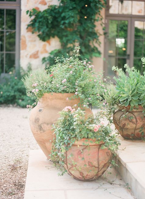 Tuscan Wedding Inspiration at The Vineyard At Florence  Read more - http://www.stylemepretty.com/texas-weddings/2014/02/17/tuscan-wedding-inspiration-at-the-vineyard-at-florence/ Shade Flower Pots, Door Planters, Front Door Plants, Tuscan Garden, Austin Wedding Venues, Shade Flowers, Gardening Flowers, Italian Garden, Mediterranean Garden